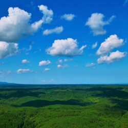 landscape_00161-1