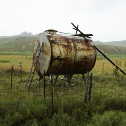 Mongolia010A7798_TP_V-1